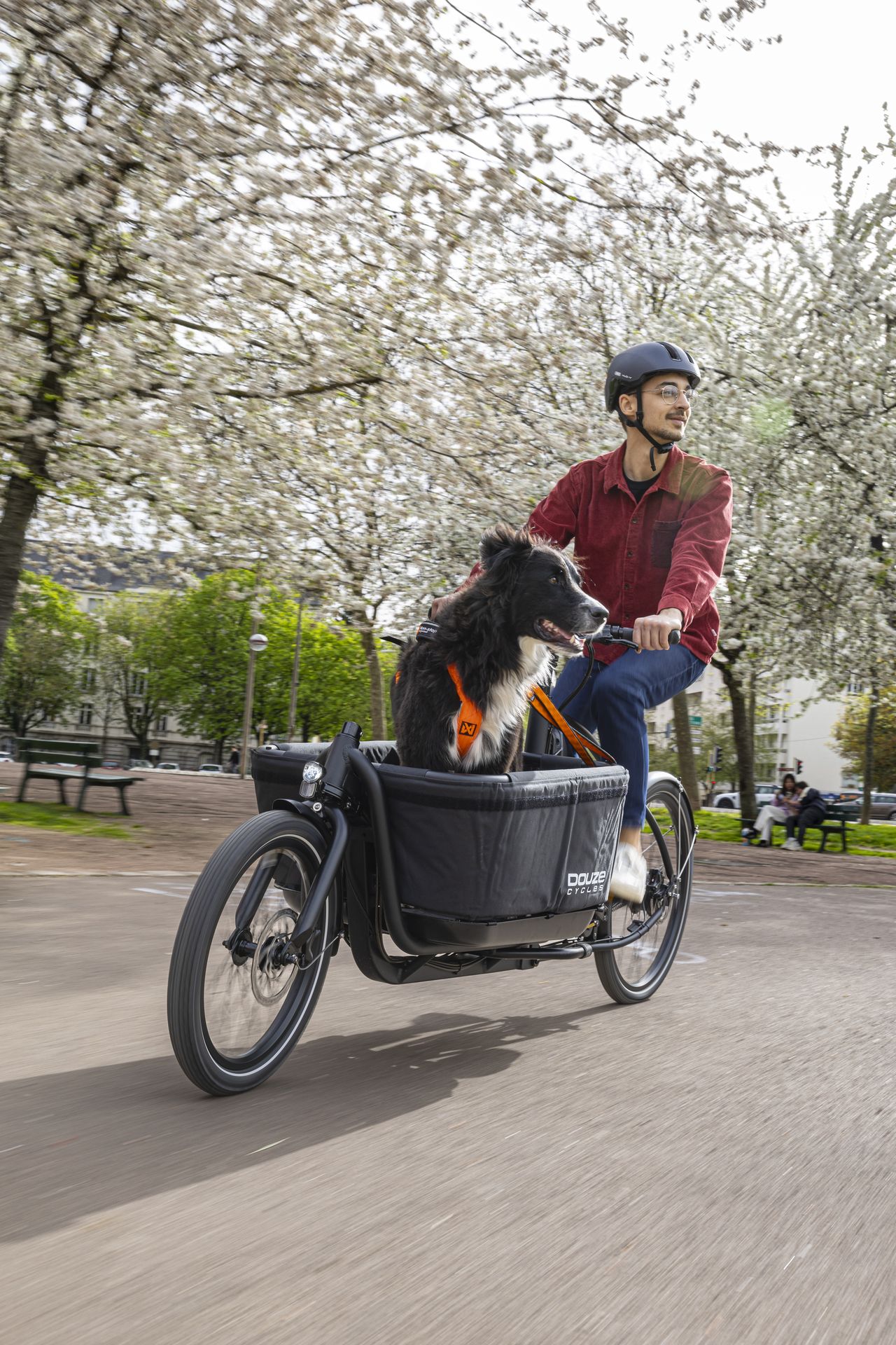 Long-John Cargobike Douze V2 mit Hund in der Box Long-John Cargobike Douze V2 mit Hund in der Box