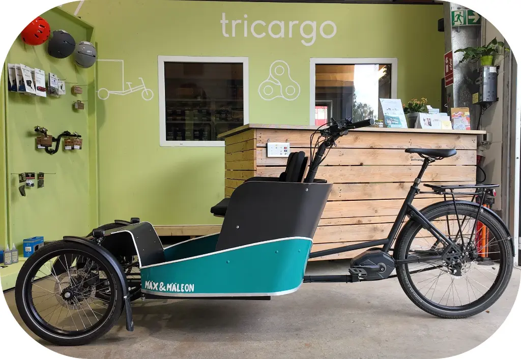 Maex und Maeleon.webp