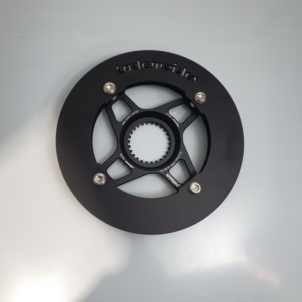 Baugruppe Pinion Spider + Kettenblatt + tricargo Hosenschutzring