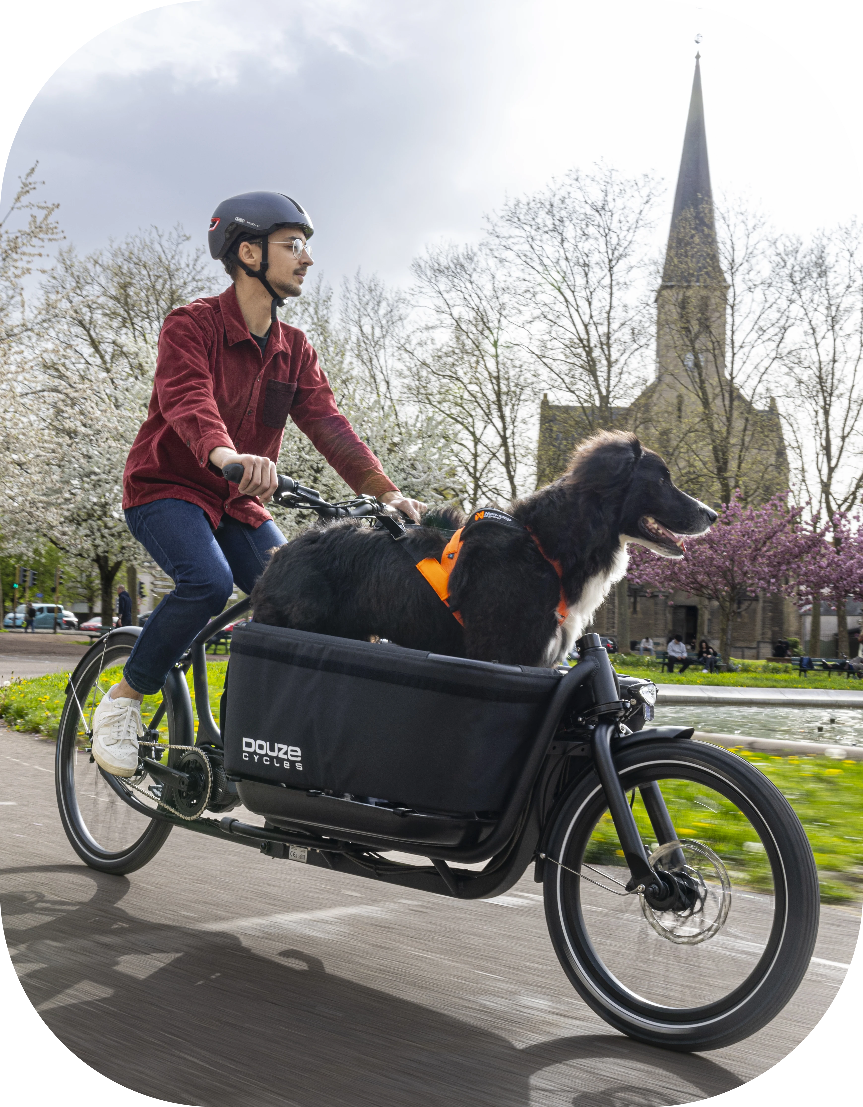 Douze V2 in anthrazit mit Transportbox Douze V2 in anthrazit mit Transportbox