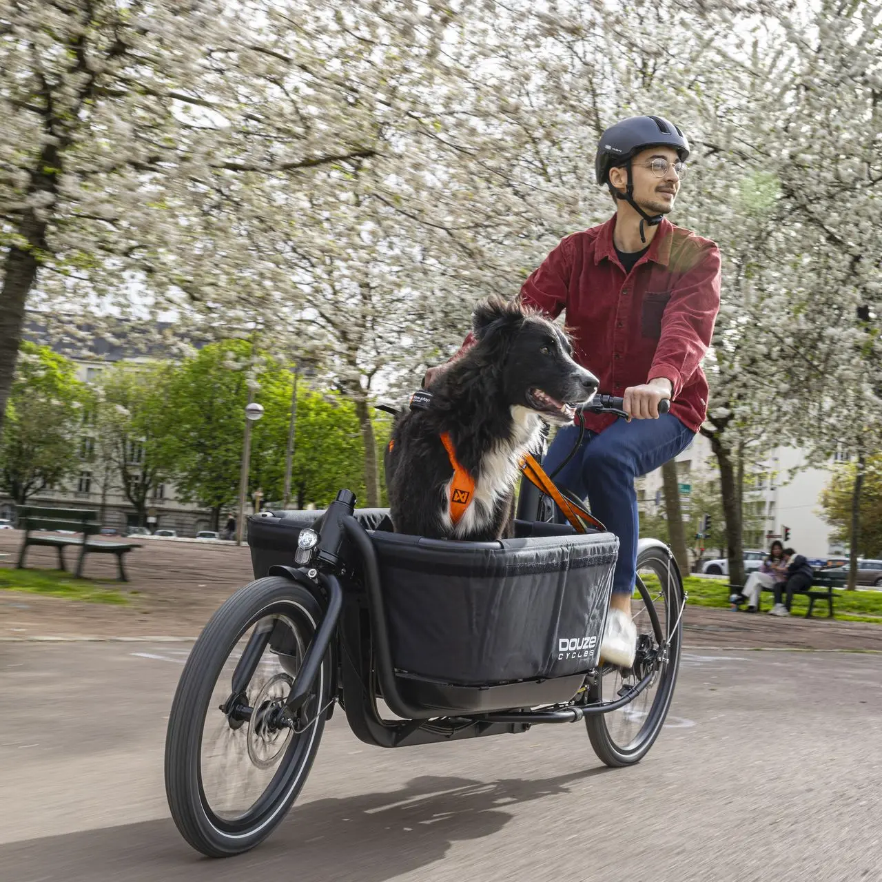 Long-John Cargobike Douze V2 mit Hund in der Box